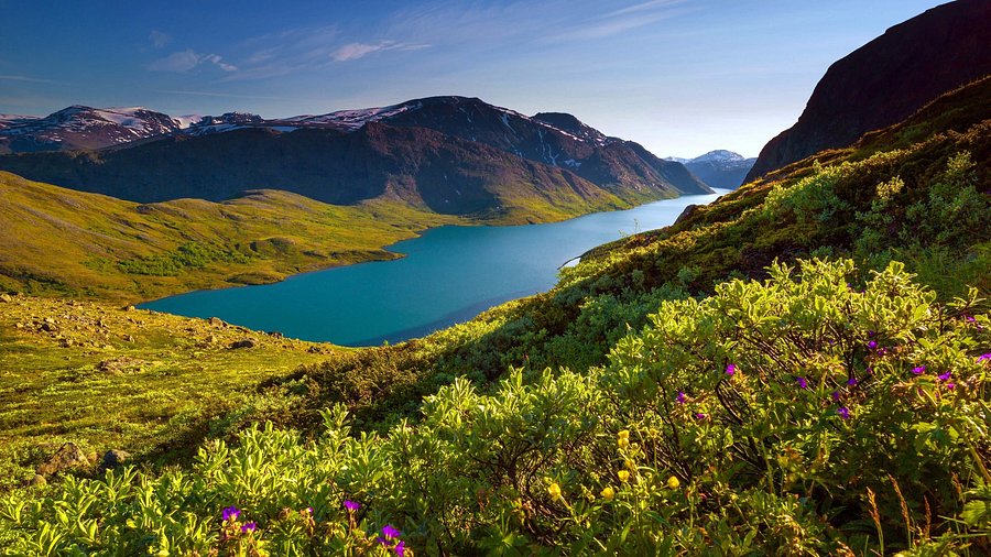 Parque Nacional de Jotunheimen